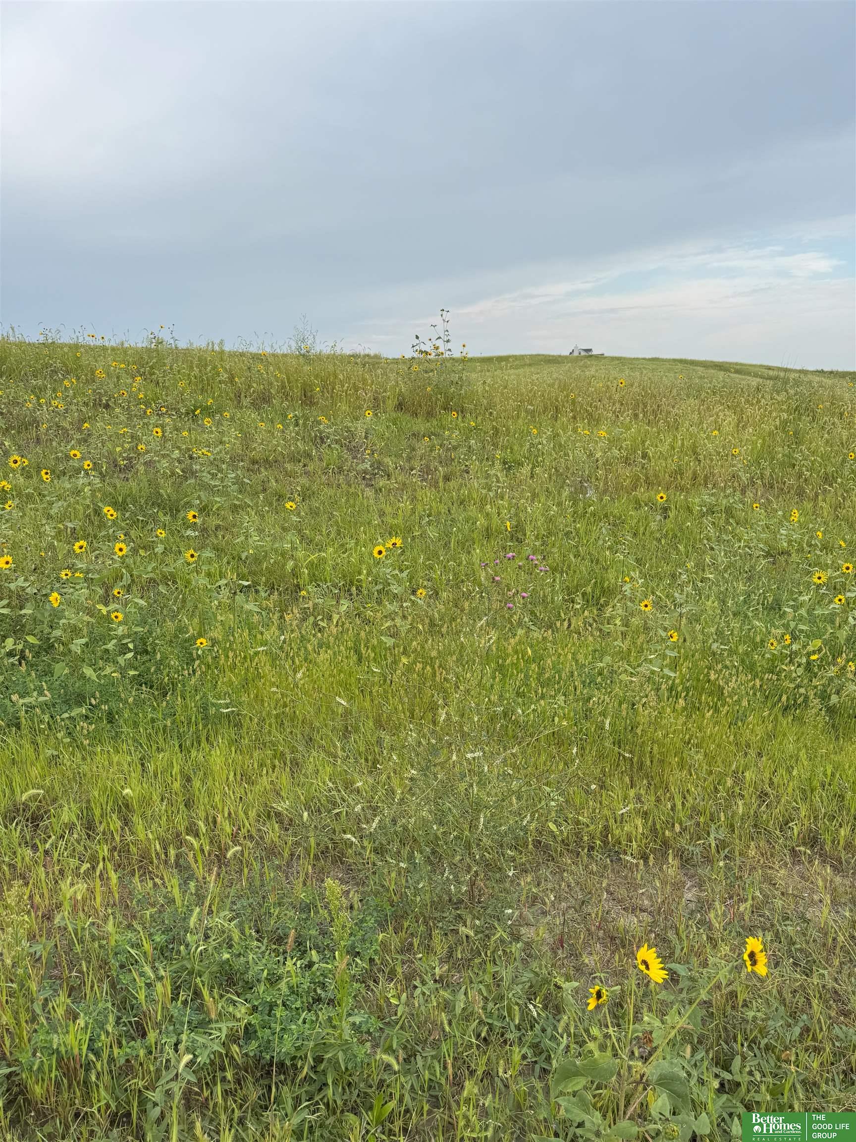 12168 S 227th Street