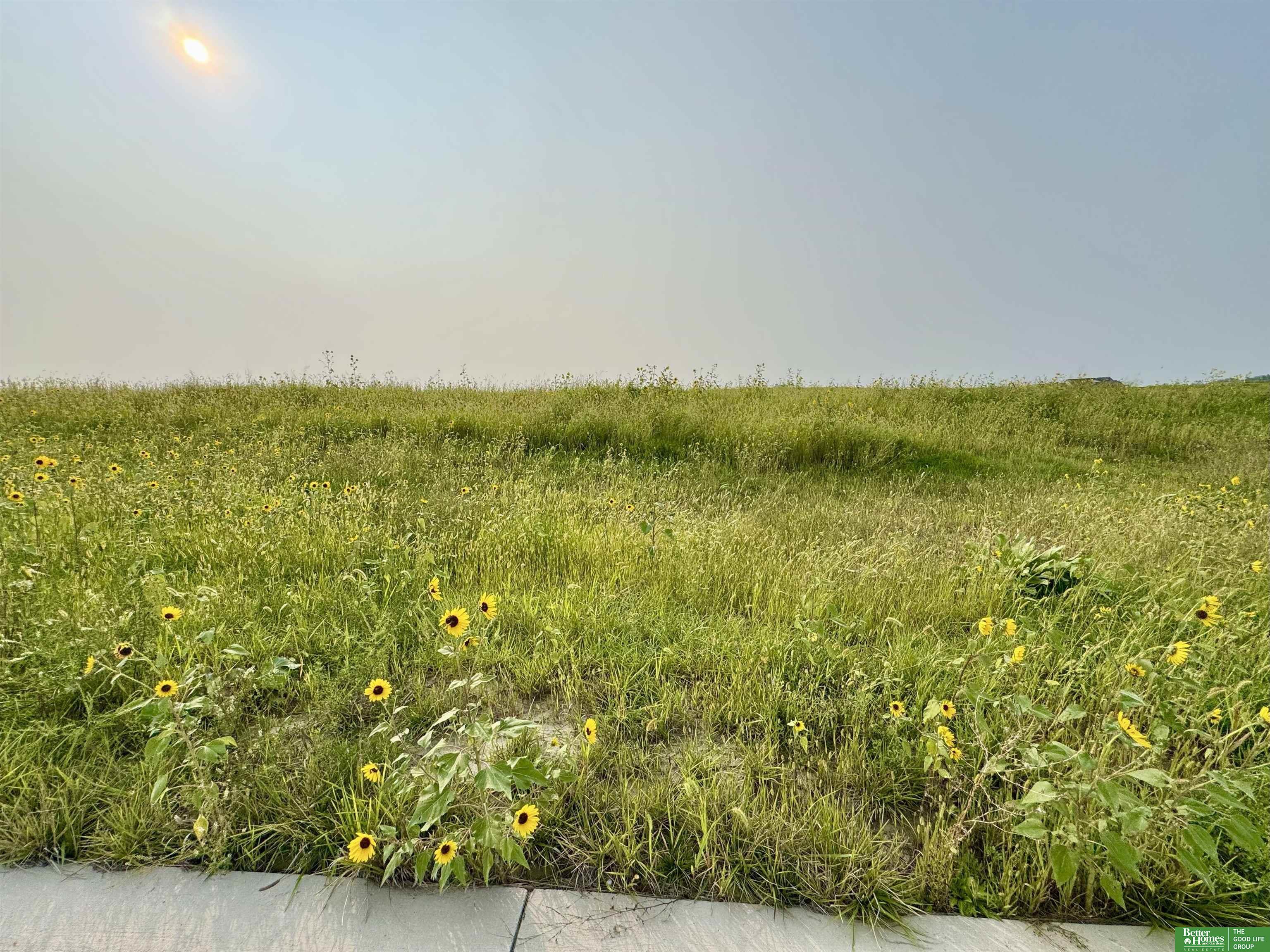 12168 S 227th Street