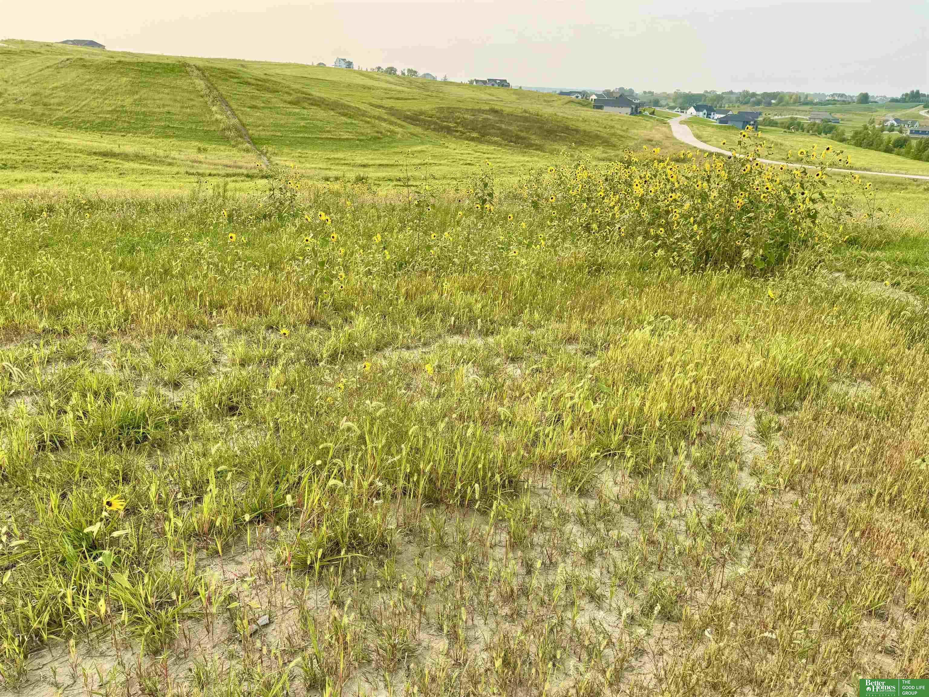 12318 S 226th Street