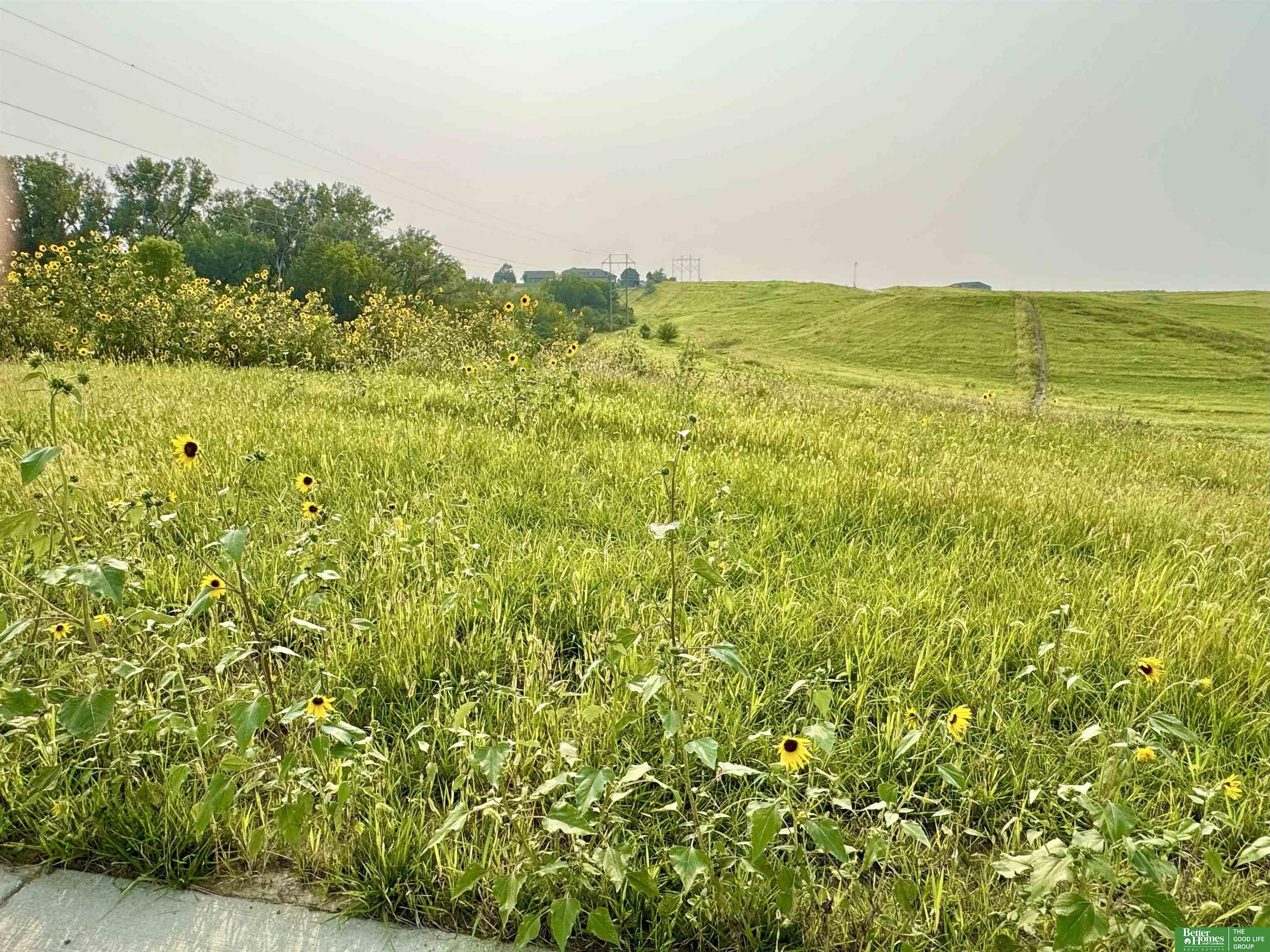 12318 S 226th Street