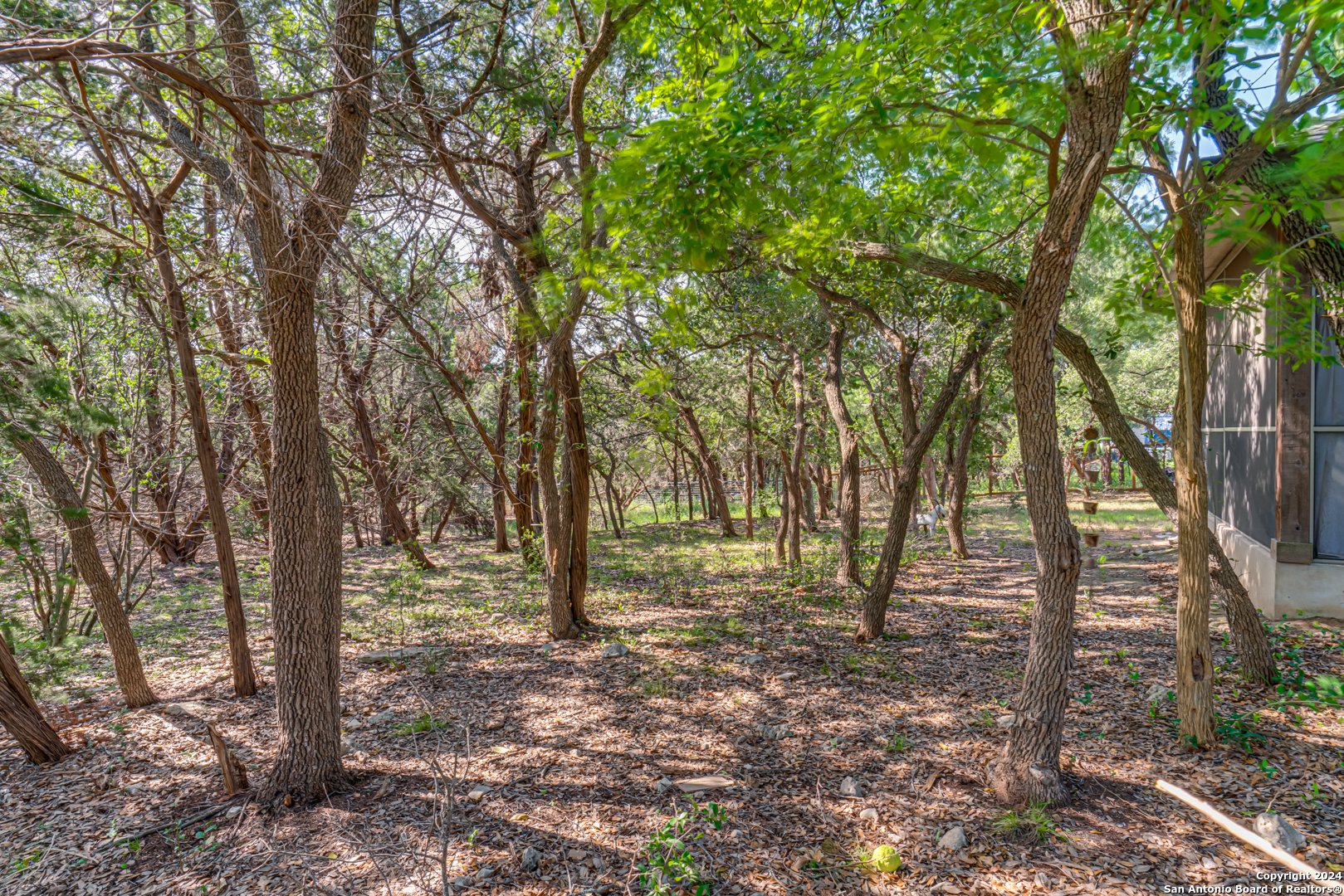 1025 Persimmon Pass