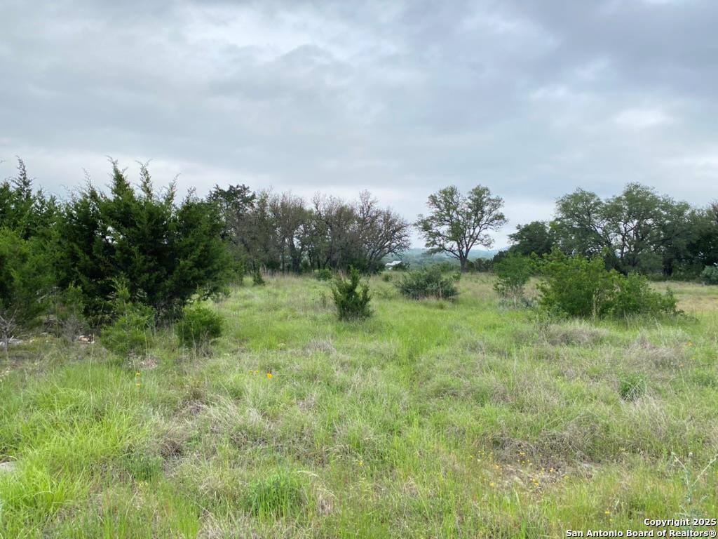356 Palomino Springs