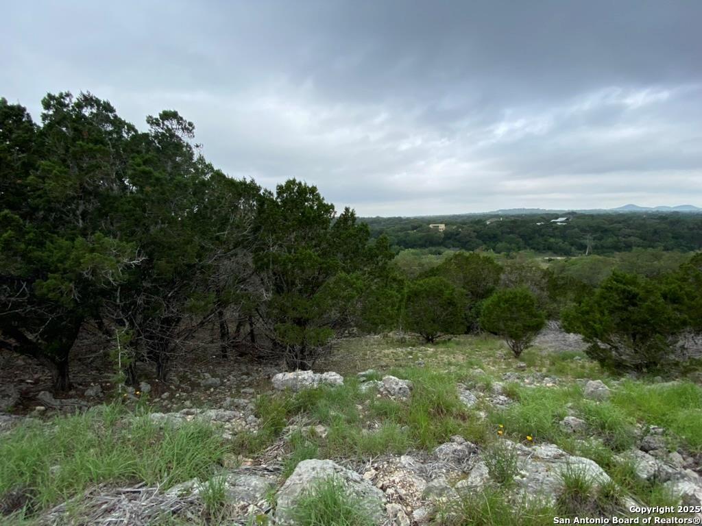 356 Palomino Springs