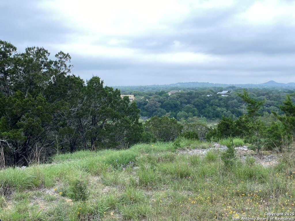356 Palomino Springs