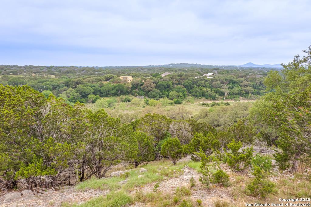 356 Palomino Springs