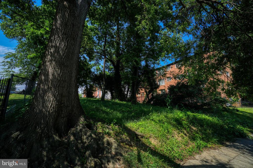 CLAY STREET NE