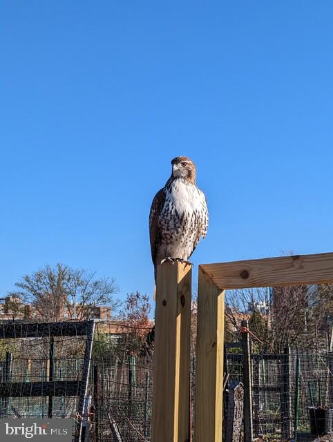 3510 39TH STREET NW C663