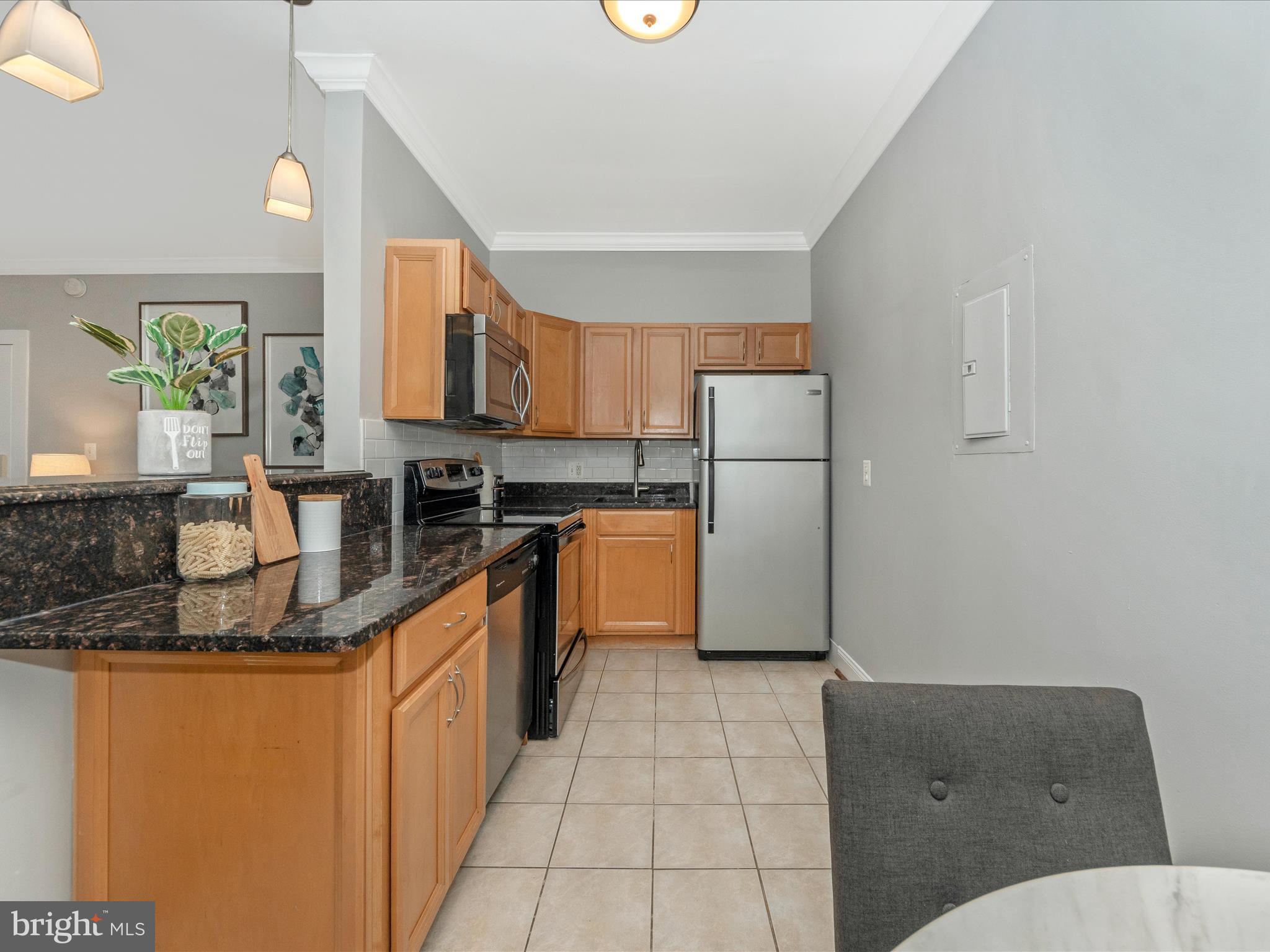 315 EVARTS STREET NE 209