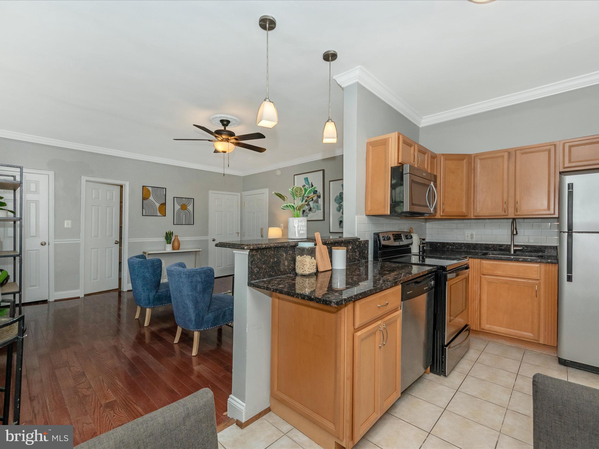 315 EVARTS STREET NE 209