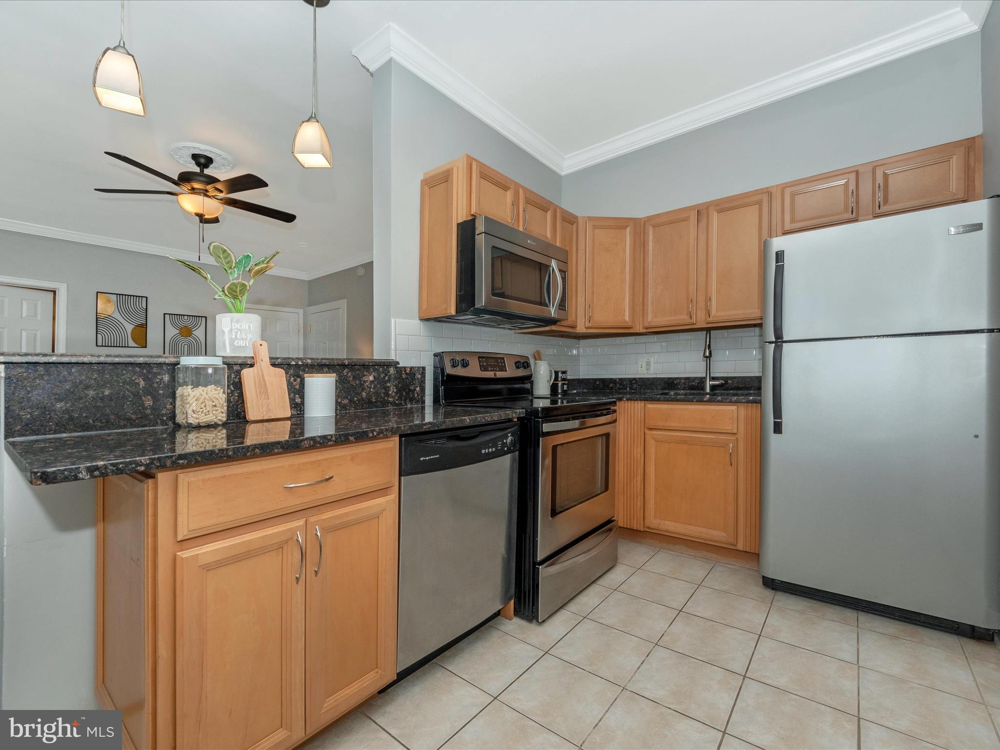 315 EVARTS STREET NE 209