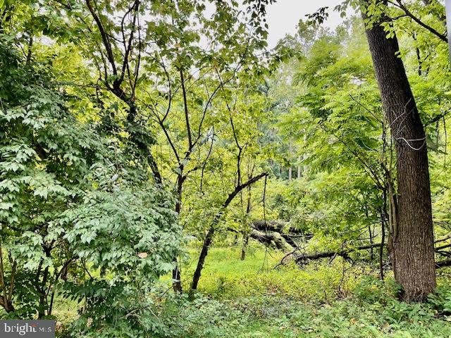 4201 CATHEDRAL AVENUE NW 903W