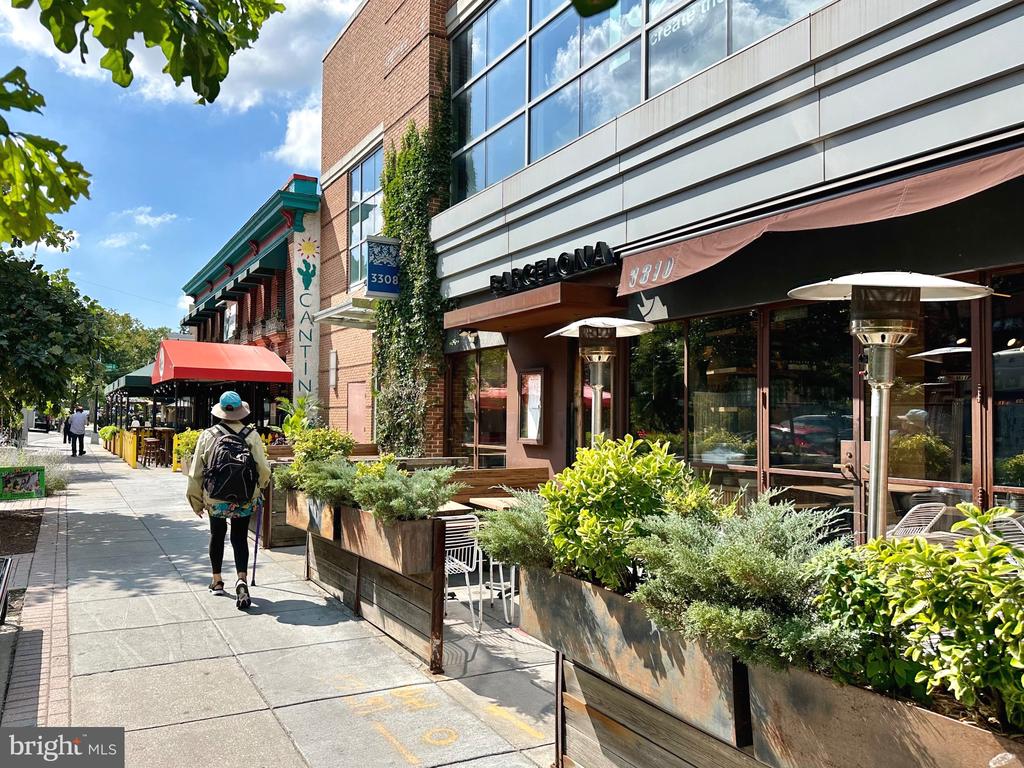 4101 CATHEDRAL AVENUE NW 306