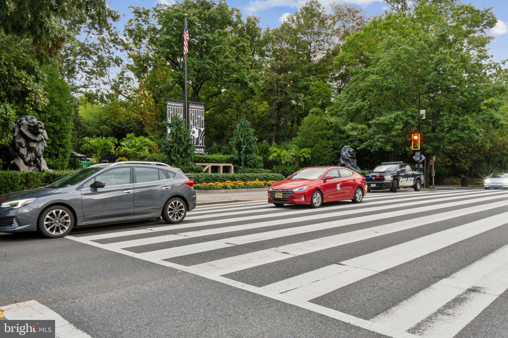 3039 MACOMB STREET NW 11