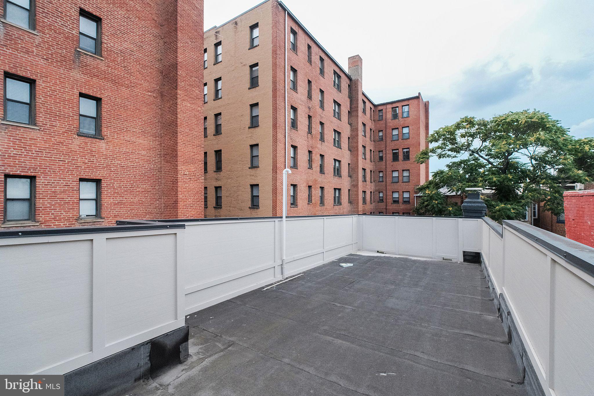 1619 SWANN STREET NW 4