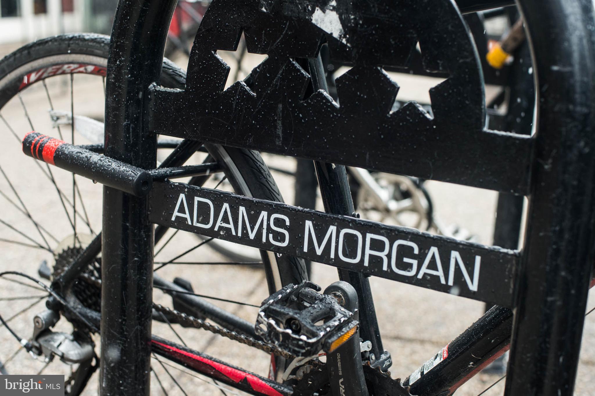 1840 MINTWOOD PLACE NW 203