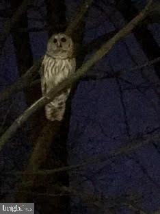 3720 39TH STREET NW D166