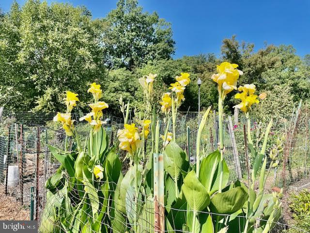 3720 39TH STREET NW D166