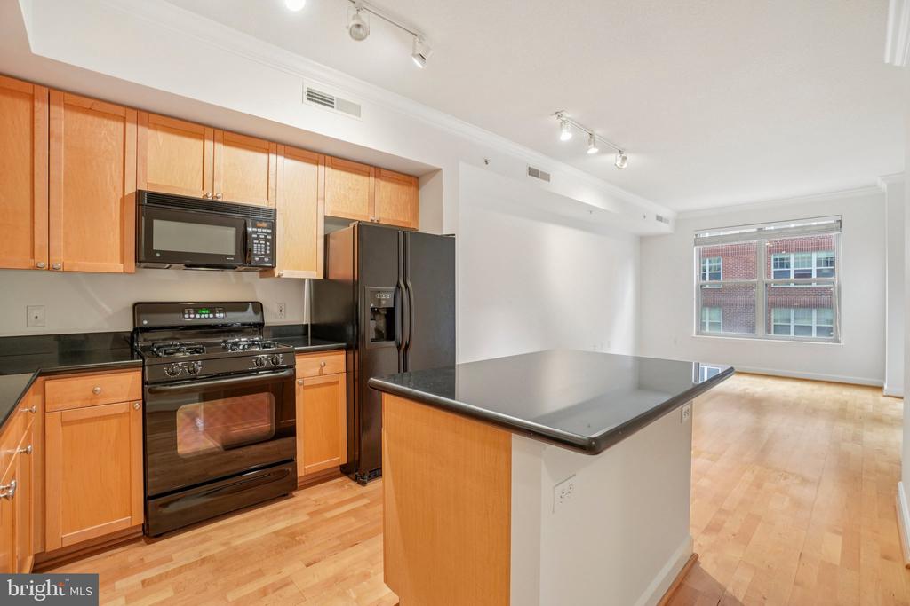 1441 RHODE ISLAND AVENUE NW 309