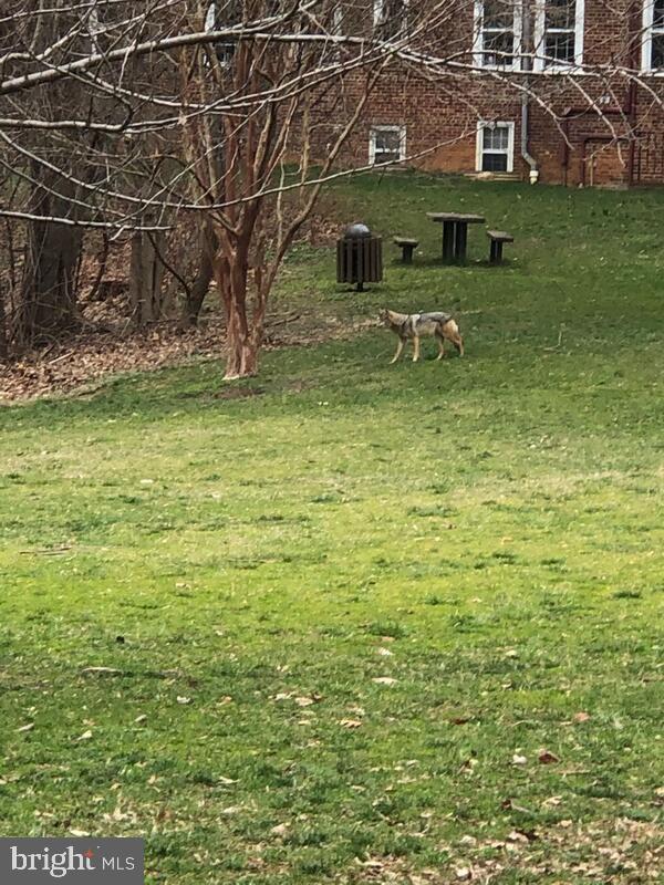 3440 39TH STREET NW D694