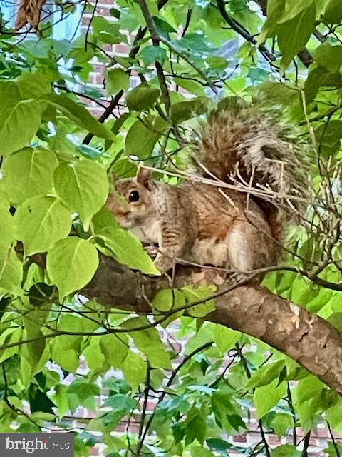 3440 39TH STREET NW D694