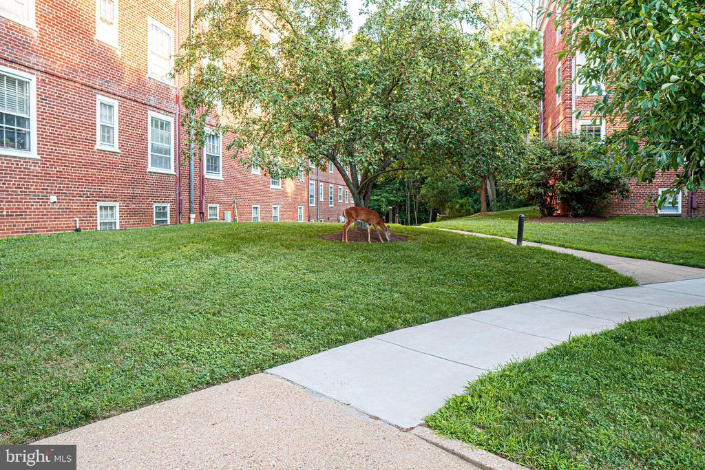 3440 39TH STREET NW D694