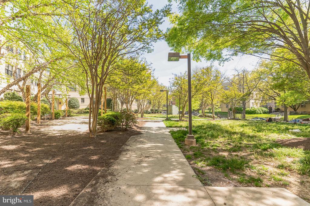 212 OAKWOOD STREET SE 218