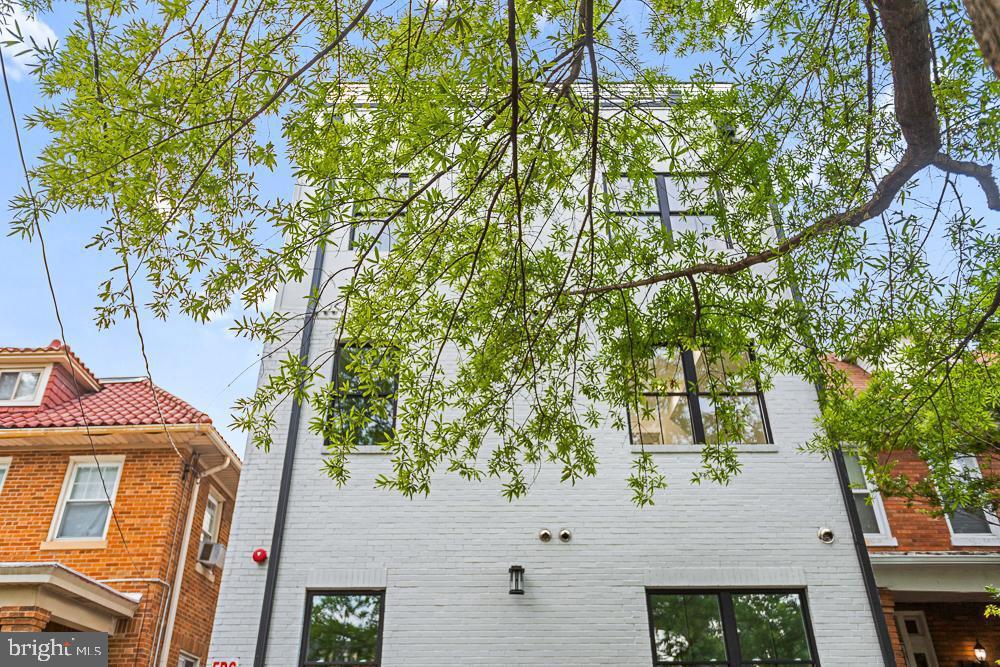 1109 FERN STREET NW Unit: 301