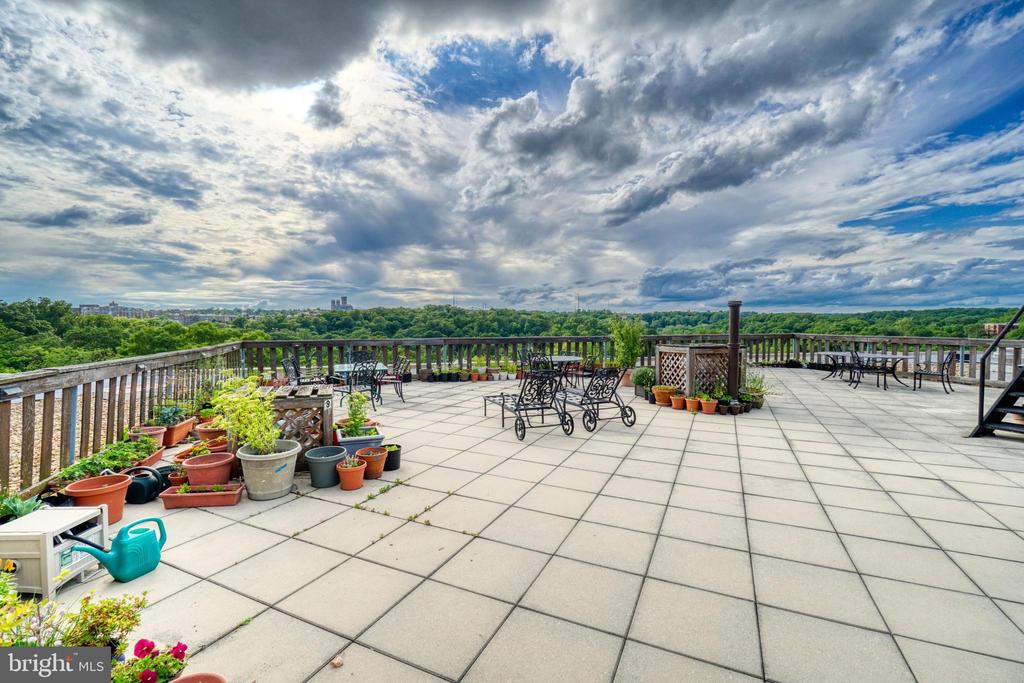 1801 CLYDESDALE PLACE NW Unit: 311