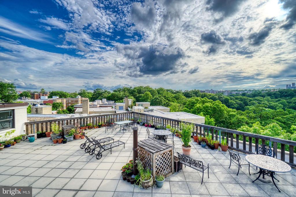 1801 CLYDESDALE PLACE NW Unit: 311