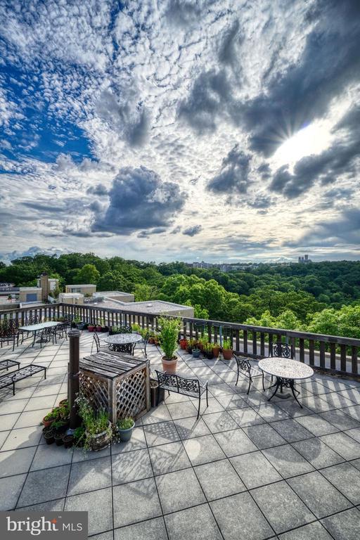 1801 CLYDESDALE PLACE NW Unit: 311