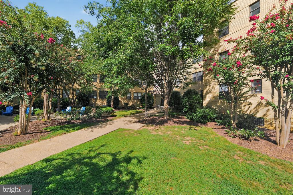 210 OAKWOOD STREET SE Unit: 318