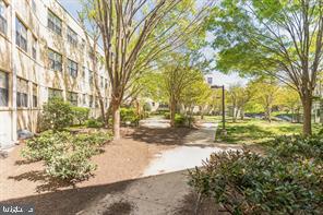 210 OAKWOOD STREET SE Unit: 318