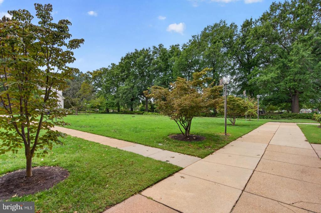429 N STREET SW Unit: S-704