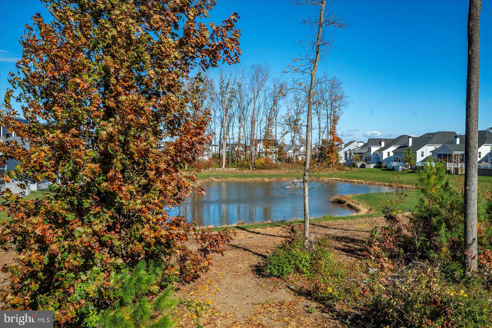 19218 AMERICAN HOLLY ROAD