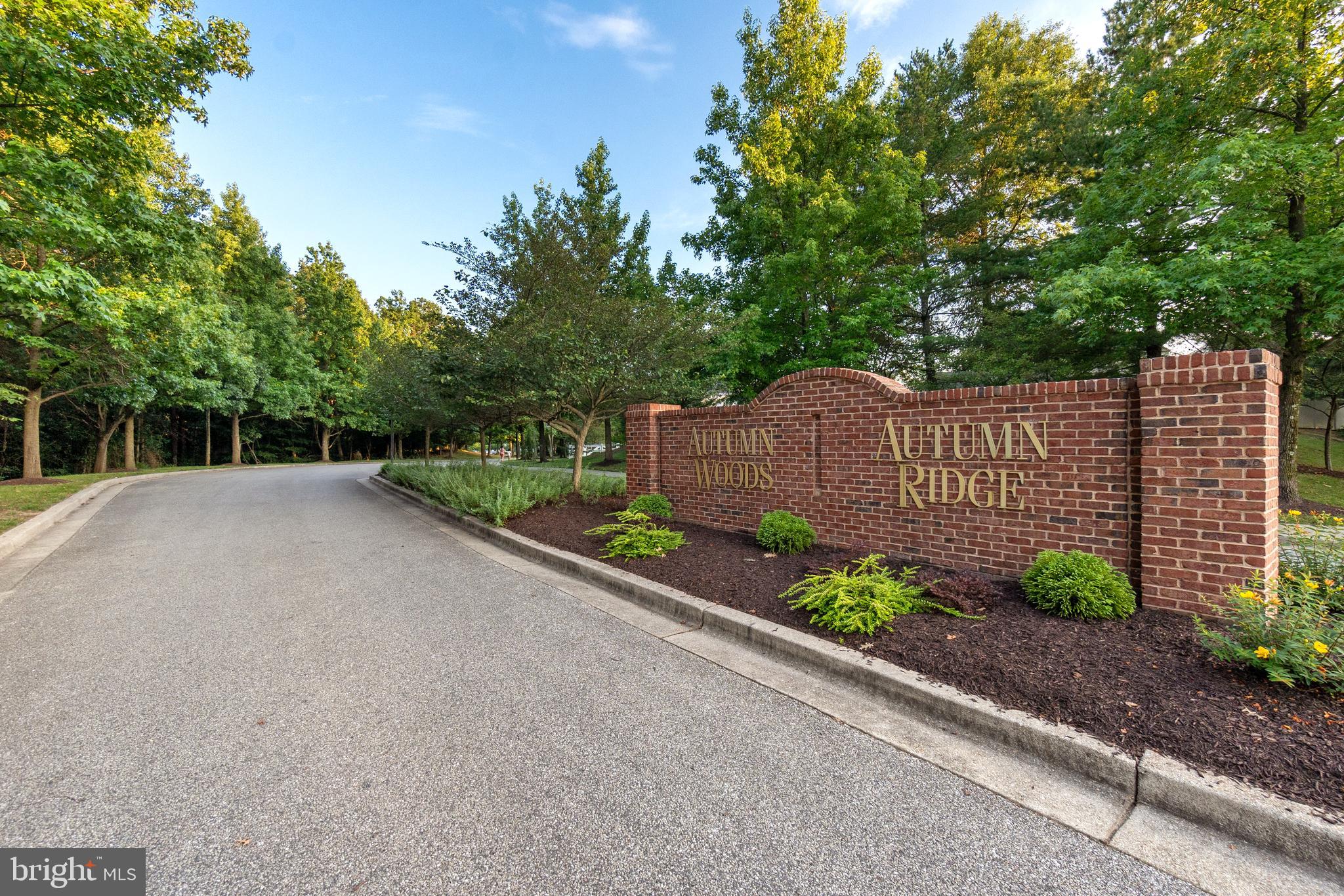 2633 CEDAR ELM DRIVE
