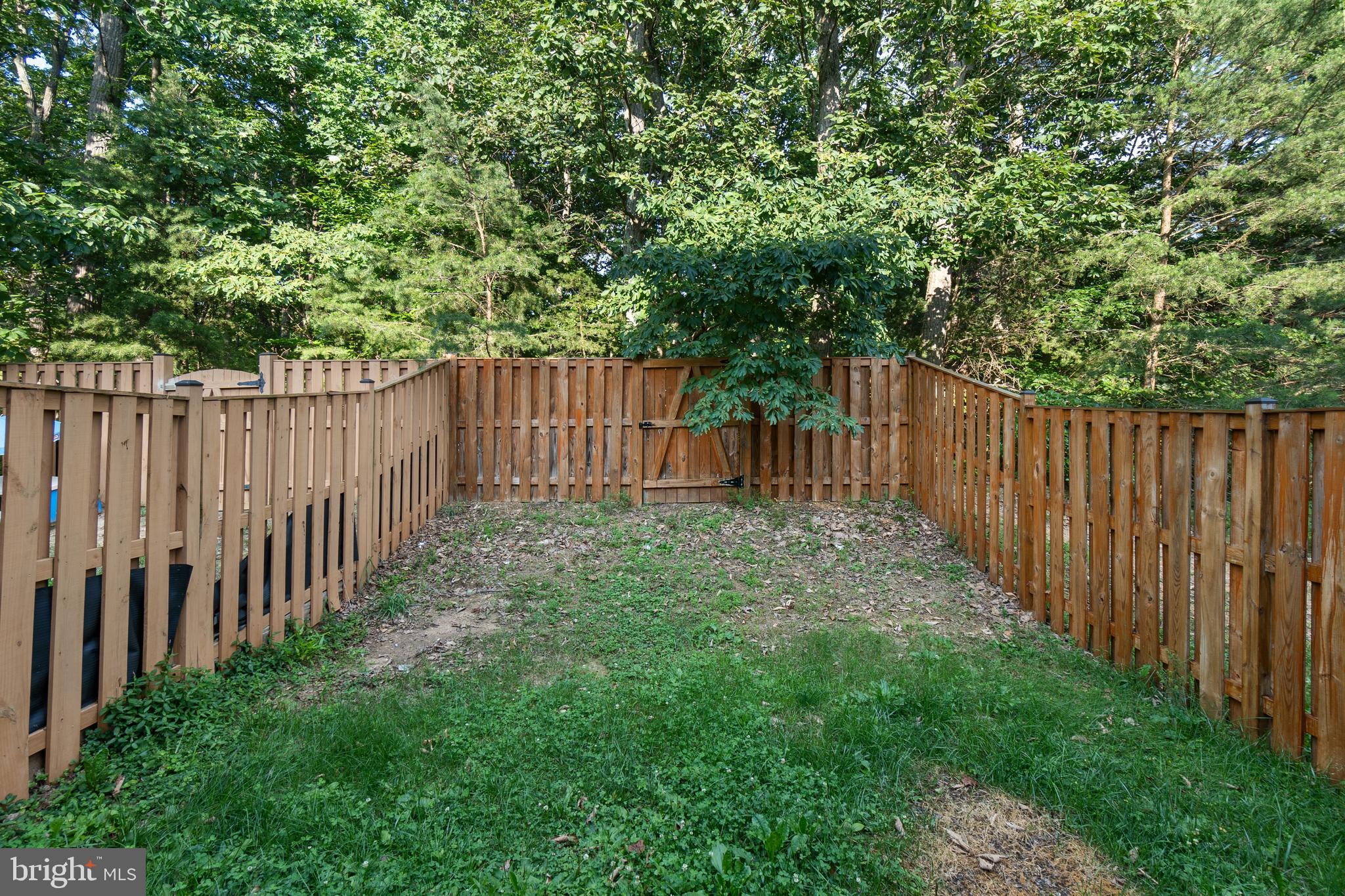 2633 CEDAR ELM DRIVE