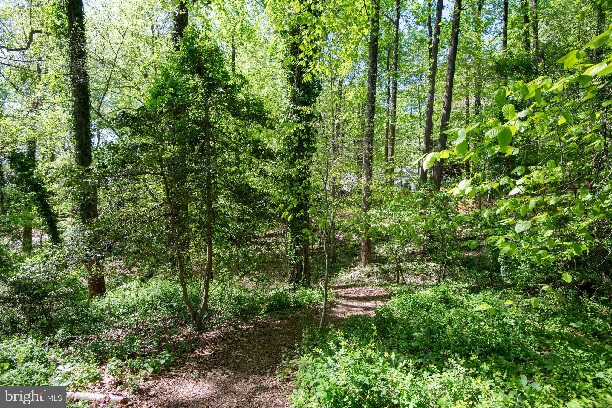 344 MARTINS COVE ROAD