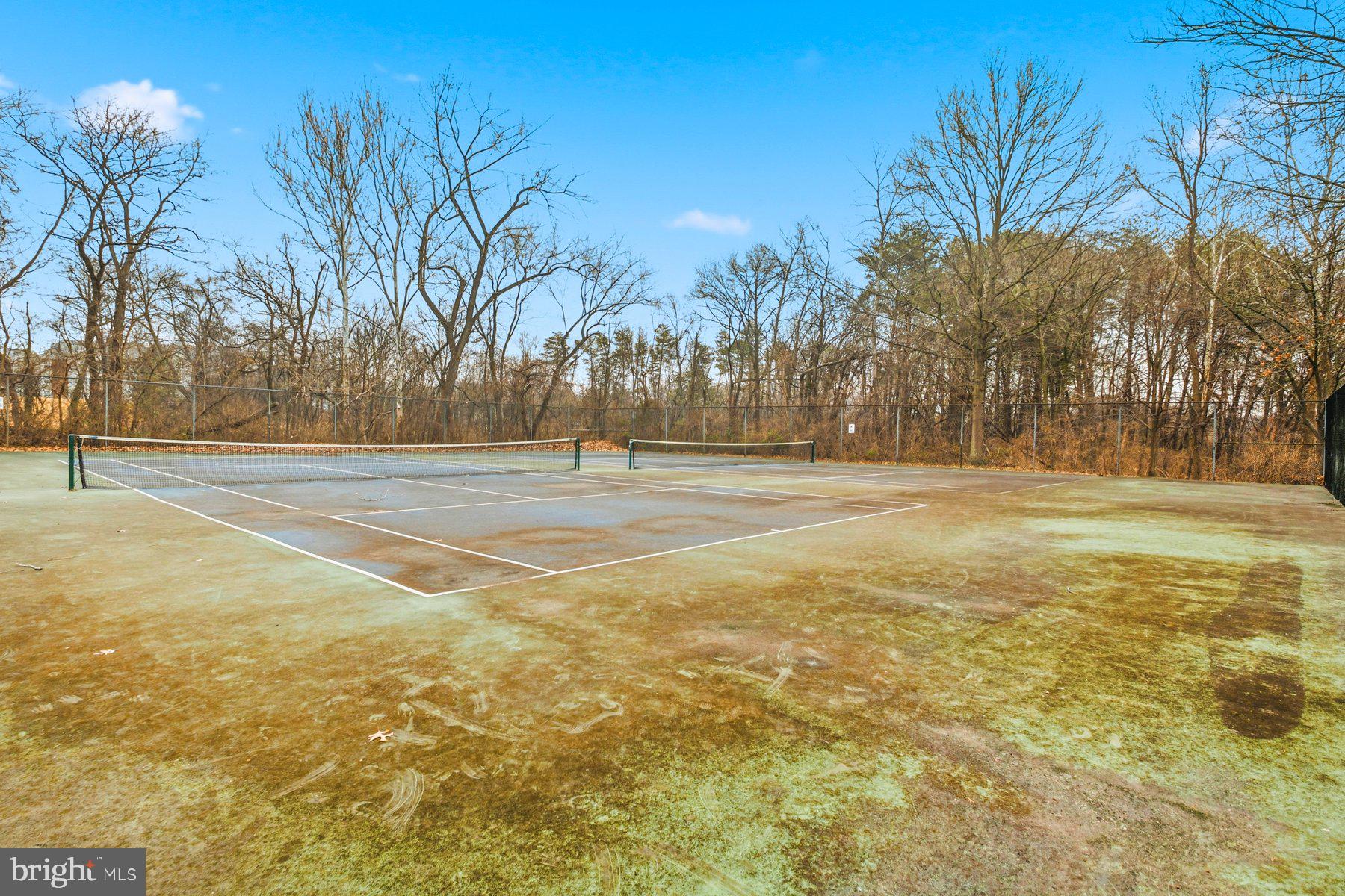 210 SPRING MAIDEN COURT 104