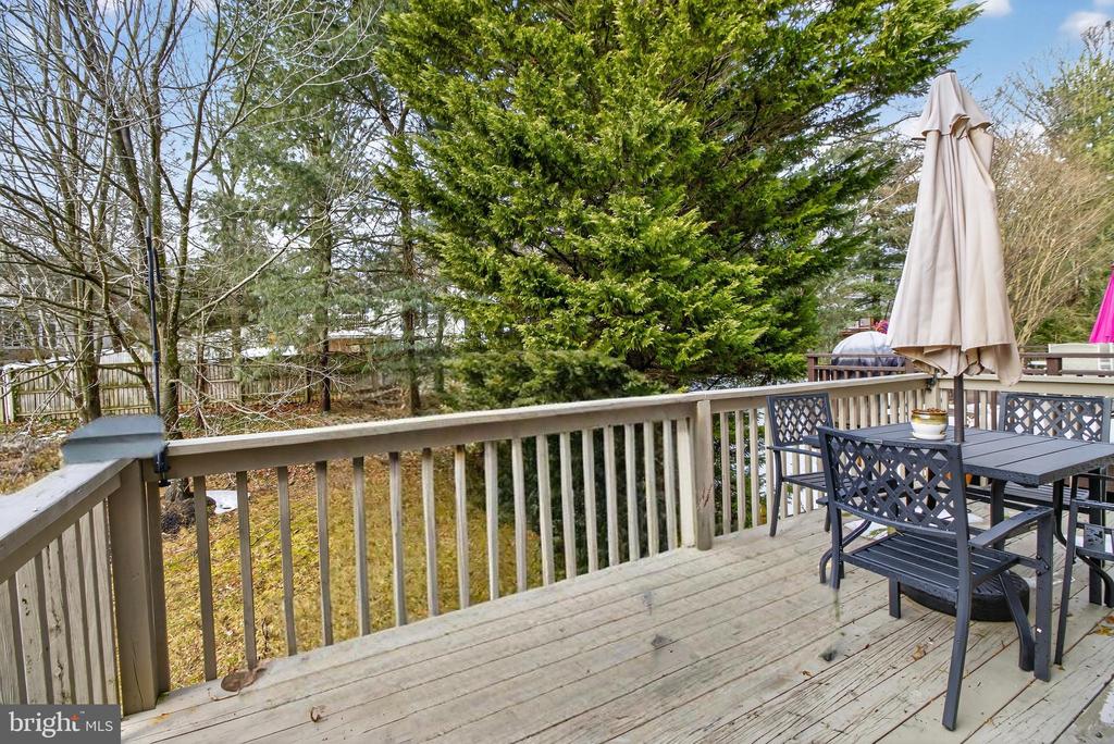 1124 BRASSIE COURT