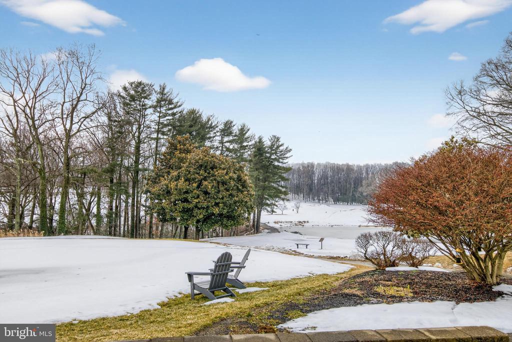 1124 BRASSIE COURT