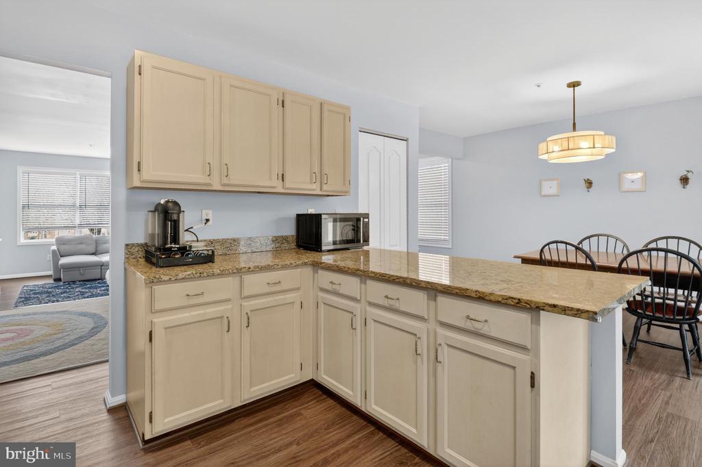 1124 BRASSIE COURT