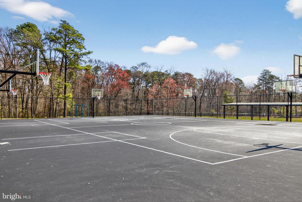 8013 PINK LILY COURT