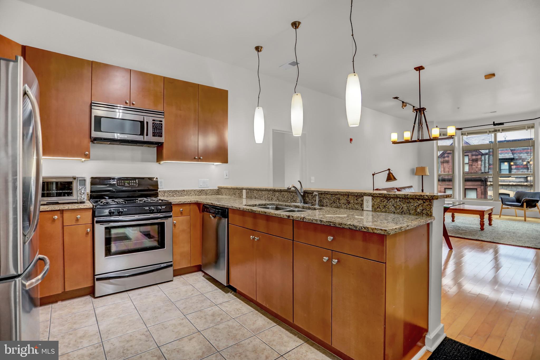 1209 N CHARLES STREET 315