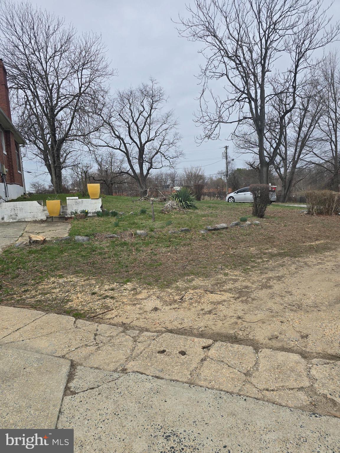2801 JOPLEA