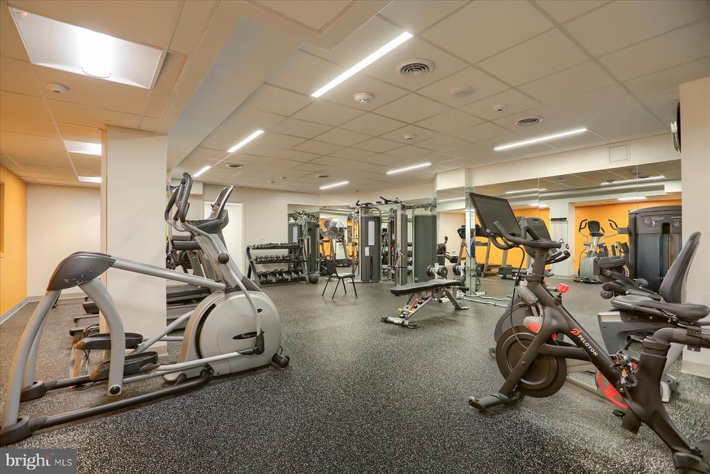 3908 N CHARLES STREET Unit: 1102