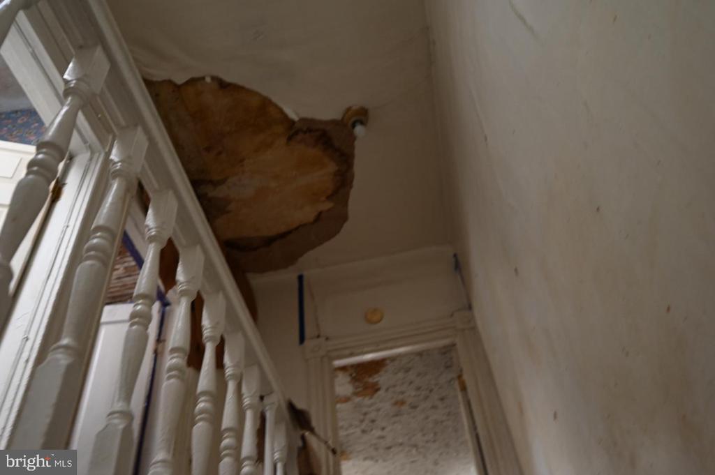 2509 HOLLINS STREET