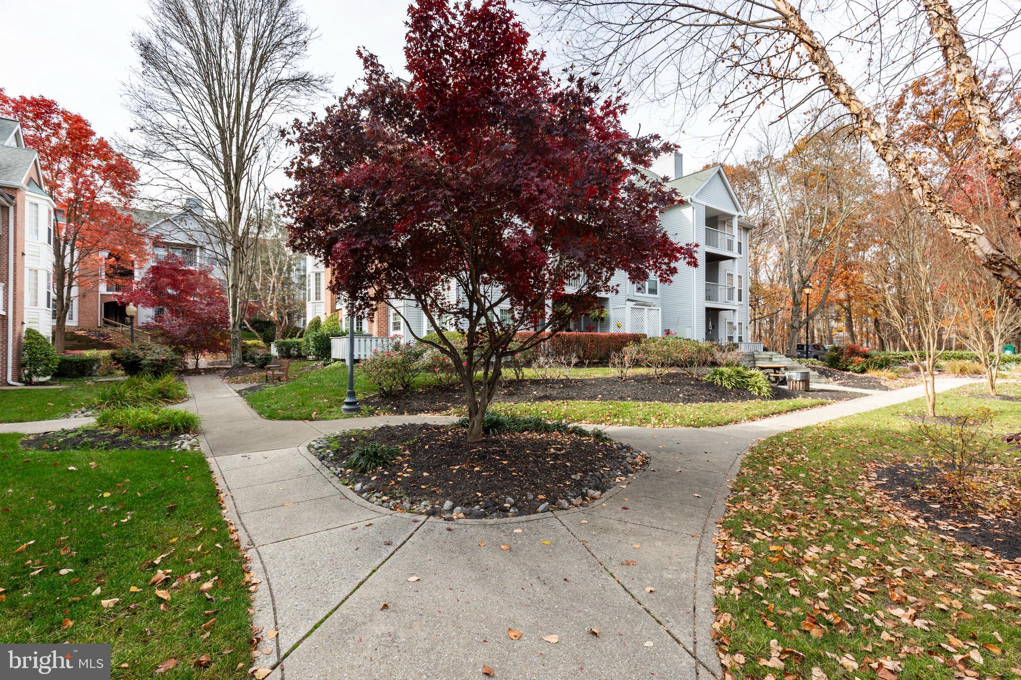 4405 SILVERBROOK LANE 102