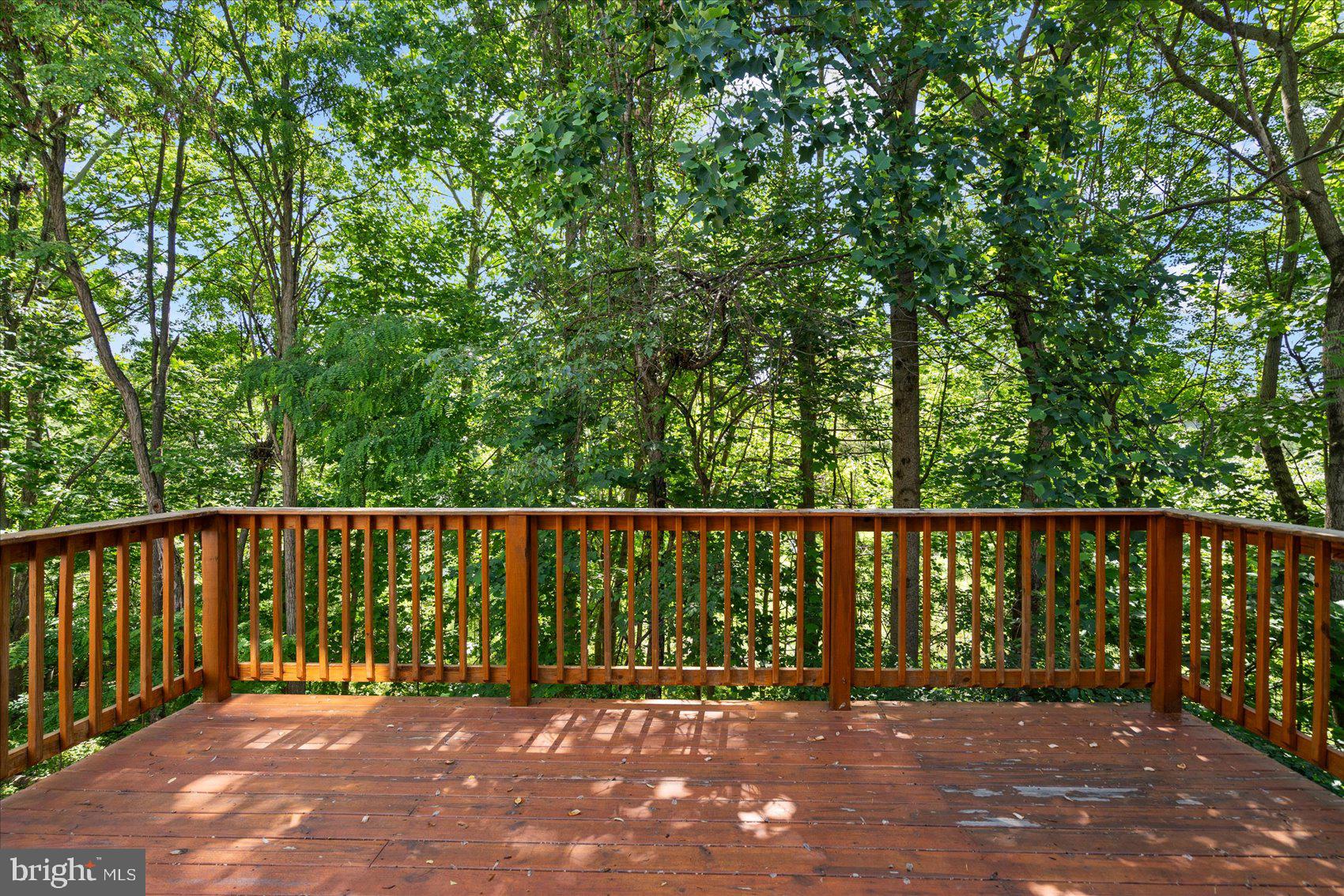 9 CEDAR CHIP COURT