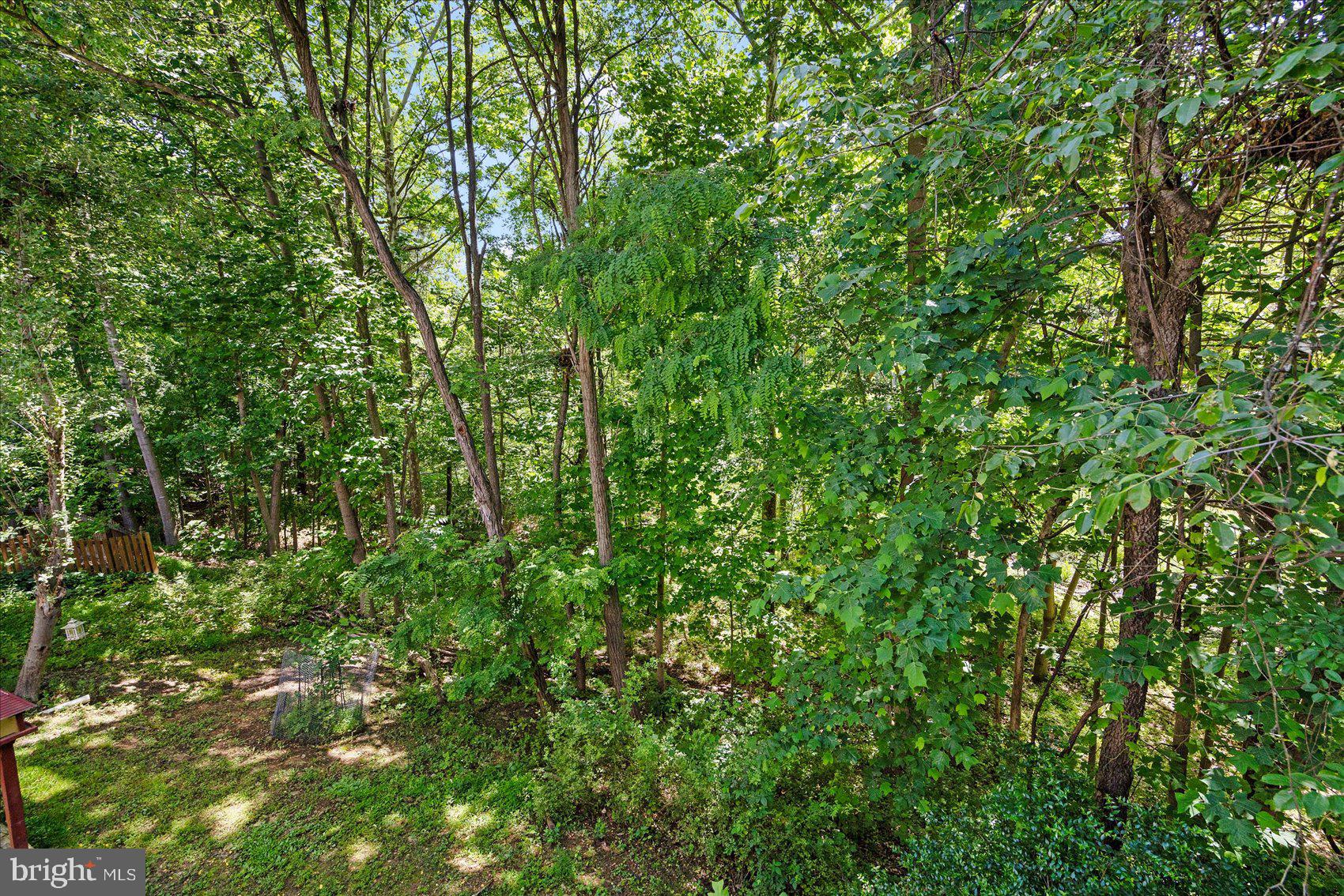 9 CEDAR CHIP COURT