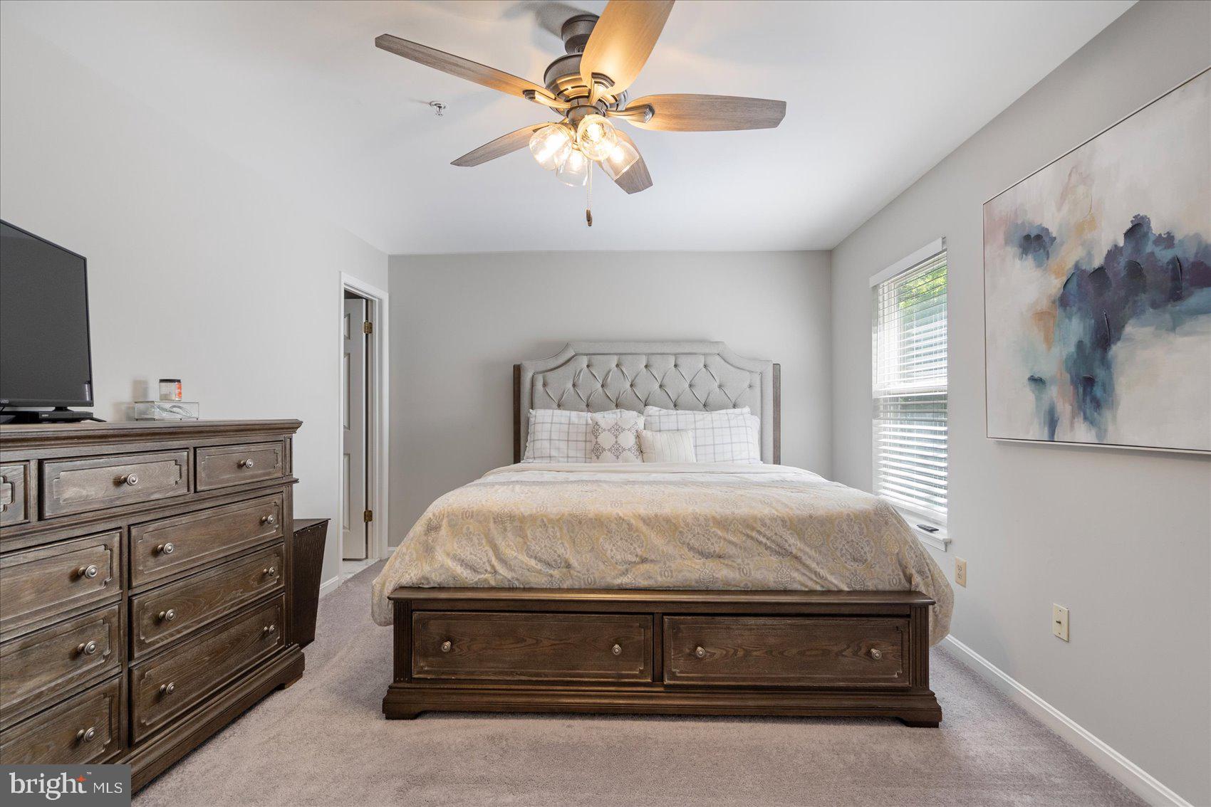 9 CEDAR CHIP COURT